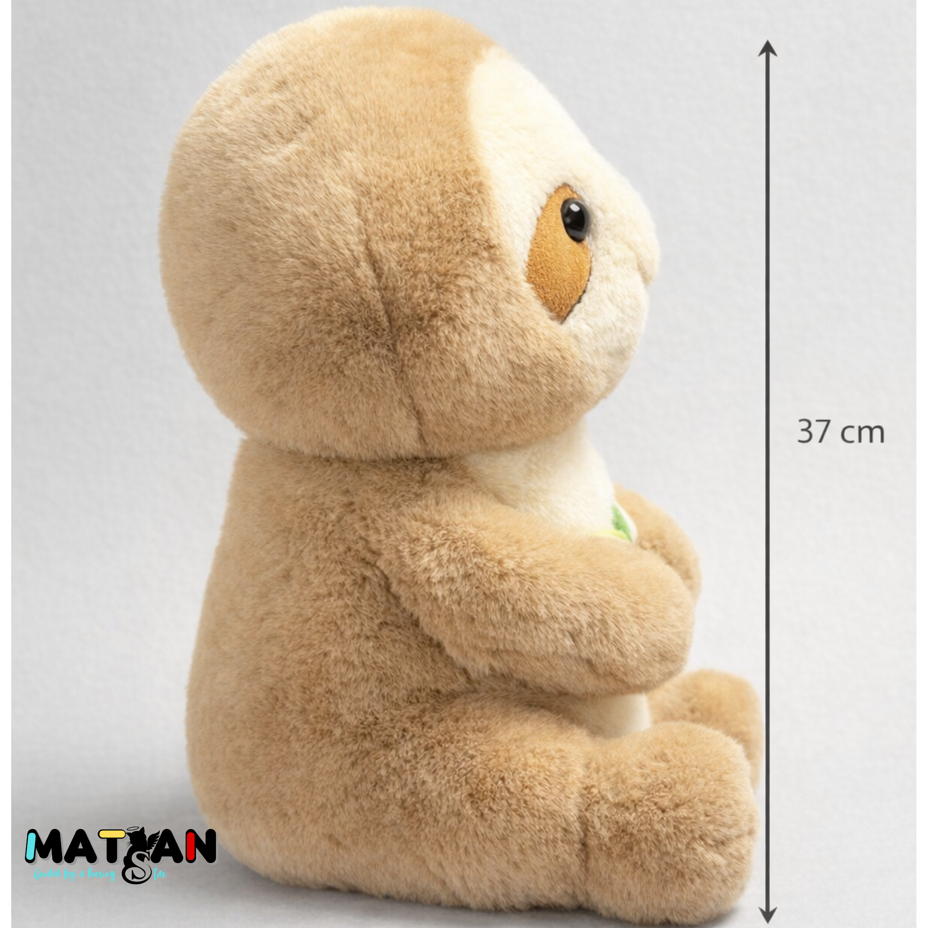 Cuddle Me Slow – The Sloth Made for Tender Moments