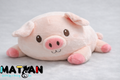 Premium Pastel Pig Plush – Cozy Comfort and Whimsical Charm for piggies lovers